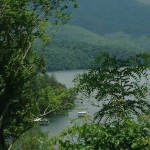 Meet your Posher, Ray